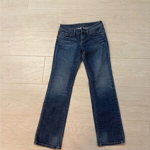 Banana Republic Dark Blue Straight Leg Jeans